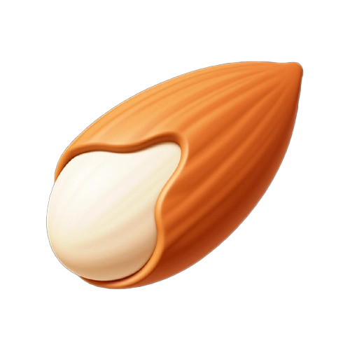 Almond Icon