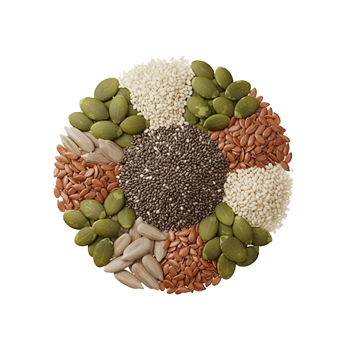 Almond Icon
