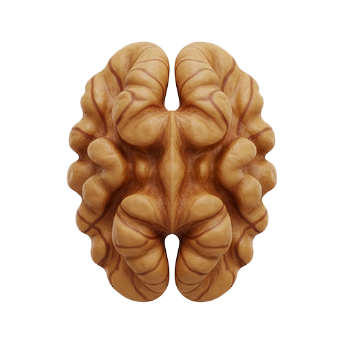 Almond Icon